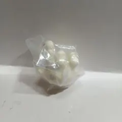 ポケモンキッズ　マホミル⑰