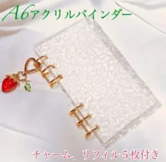 アクリルバインダー saving 貯金 A6 リフィル 　韓国　トレカ収納