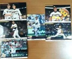 阪神タイガース 2011年7月12日から14日フォト6枚セット