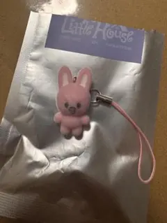 Straykids ペンミ　ミニチャーム　トエッキ　トゥエッキ　チャンビン