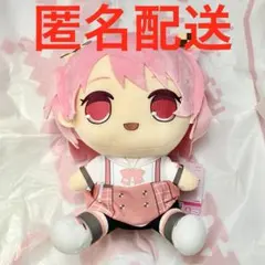 カラフルピーチ からぴち プライズ品 おおきな BIG ぬいぐるみ のあ