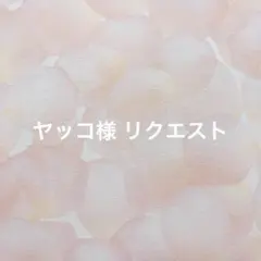 ヤッコ様 リクエスト 3点 まとめ商品