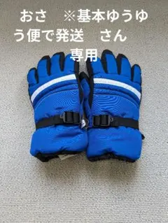 スキーグローブ140センチ　ファブリス FABLICE