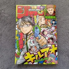 週刊少年ジャンプ　　2024年6月3日号　25号　当日〜翌日発送可能