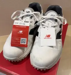 Item thumbnail for item e601c12d-071d-46d6-be76-a3956818923d