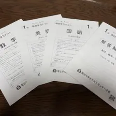2026年最新】中3駿台全国模試の人気アイテム - メルカリ