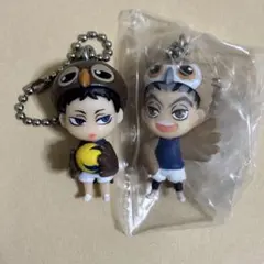 ハイキュー　着ぐるみマスコット　キーホルダー　木兎　赤葦　レア　ブロマイド　梟谷