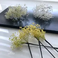 髪飾り かすみ草 5パーツ .*・ 袴 卒業式 謝恩会 プリザーブド