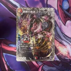 すぎさき総理様 リクエスト 2点 まとめ商品