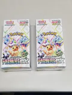 ポケモンカードゲーム テラスタルフェスex シュリンク付き 未開封 2BOX