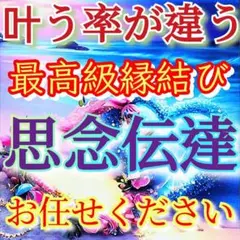 感謝SALE 吉日特殊祈願 好転者続出 強烈波動修正 占い 霊視 将龍