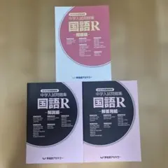 2023年度受験用 中学入試問題集 国語R 早稲田アカデミー