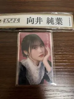 向井純葉 - メルカリ