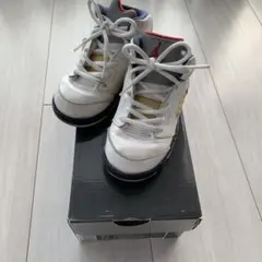 レア★ナイキジョーダン5 レトロ ナンバリング TD ホワイト ベビー キッズ