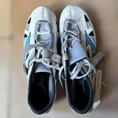 Item thumbnail for item dabfaa46-eefb-4710-ae12-07241a71d444