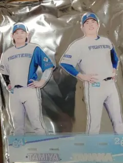 田中正義 田宮裕涼 ジャンボ アクスタ 非売品 ファイターズ 日ハム】田中正義&田宮裕涼【ジャンボアクスタ】 - メルカリ