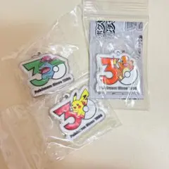 ポケモン 30周年記念 メタルチャーム 3個セット　ピカチュウ　ヒトカゲ　ガチャ