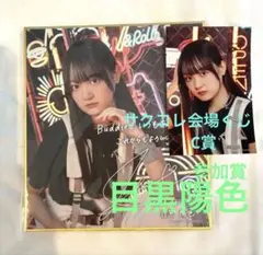 櫻坂46 目黒陽色 サクコレ 会場くじ C賞 プリントサイン入り色紙