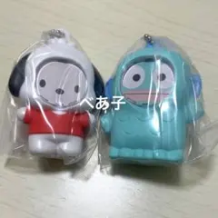 サンリオキャラクターズ フォトフレームマスコット ポチャッコ ハンギョドン