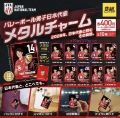バレーボール男子日本代表 メタルチャーム 内山 晶大選手