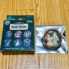 Disney ホーンテッドマンション ストーリービヨンド ピンバッジ