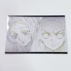 鬼滅の刃 ダイニング おすそ分けポストカード 胡蝶カナエ 胡蝶しのぶ