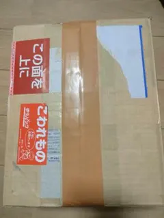 Item thumbnail for item 992a9c4d-b227-44d3-b604-dc77dd0b1962