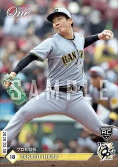 ぐっさんJubilo&Tigers様 リクエスト 2点 まとめ商品