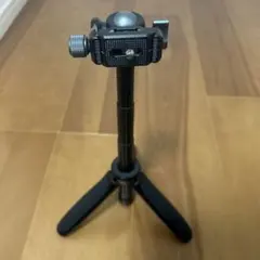 Item thumbnail for item eb43a4e6-d6ae-43f6-98be-c640c21692ad