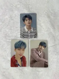 SEVENTEEN セブチ　ウォヌ　舞い落ちる花びら