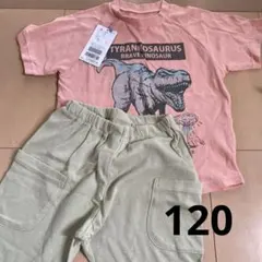 未使用　男の子　アンパサンド　半袖パジャマ　恐竜　120のサムネイル
