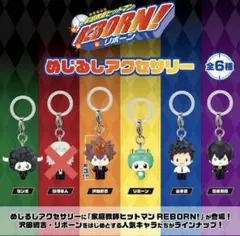 家庭教師ヒットマンREBORN! めじるしアクセサリー