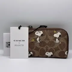 完売品 COACH PEANUTSコラボ ジップ キーケース スヌーピー ポーチ
