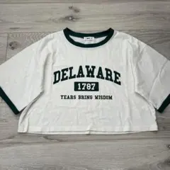 超美品WEGO DELAWARE ロゴ リンガーTシャツ ホワイト M
