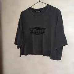 sprayスプレイ ロゴ刺繍 半袖Tシャツ チャコールグレーのサムネイル