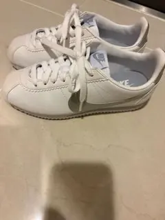 Item thumbnail for item 19cbc0ba-27ea-4470-816b-b3cf46191a1d