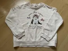 any fam 猫トレーナー