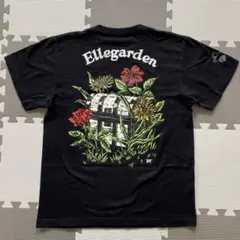 ELLEGARDEN ライブTシャツ 宝箱　Mサイズ　レア　バンドTシャツ　復活