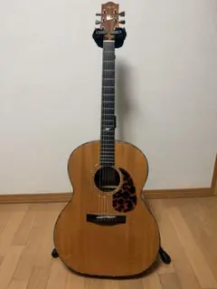 Alvarez AF65GD/M グレイトフル・デッド 50周年記念ギター - メルカリ