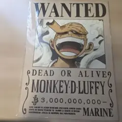 ワンピース 30億ルフィWANTED 新四皇手配書コンプリートセット - メルカリ