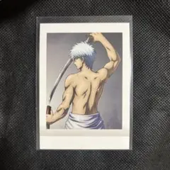 坂田銀時 ぱしゃこれ 志村新八 ぱしゃこれ 銀魂 坂田銀時 坂本辰馬 神楽 志村新八 ぱしゃこれ 色紙｜Yahoo