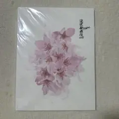 SnowMan パンフレット 滝沢歌舞伎