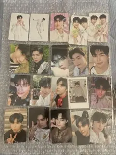 ゼベワン　ゴヌク　トレカ　特典　ラキドロ　封入