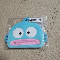 ハンギョドンポーチ