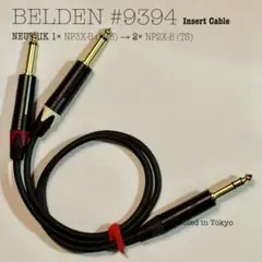 Item thumbnail for item c8b8a190-1e16-4450-ac84-dc3171816c5f