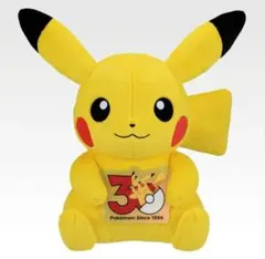 ポケモン ピカチュウ ぬいぐるみ 30周年 (下位賞2点含) - メルカリ
