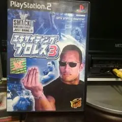 エキサイティングプロレス3