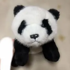 パンダ ぬいぐるみ