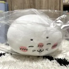 ナガノ水族館　アザラシぬいぐるみくじ C賞