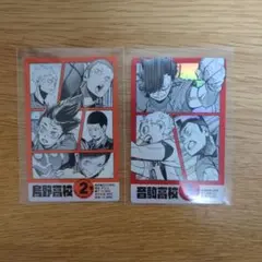 ハイキュー　ゴミ捨て場の決戦　特典　カード　書店　烏野　音駒　3年　2年